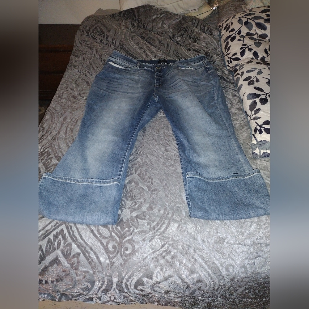 Judy blue plus size jeans